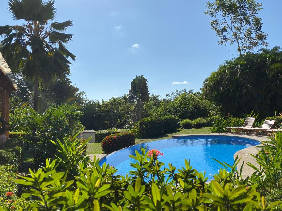Palm Coast Luxury Rentals Esterillos Este Exteriör bild